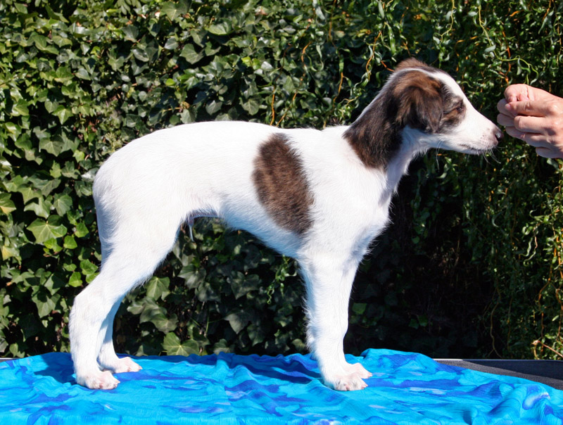 Surf Spots - Boy 1 Right